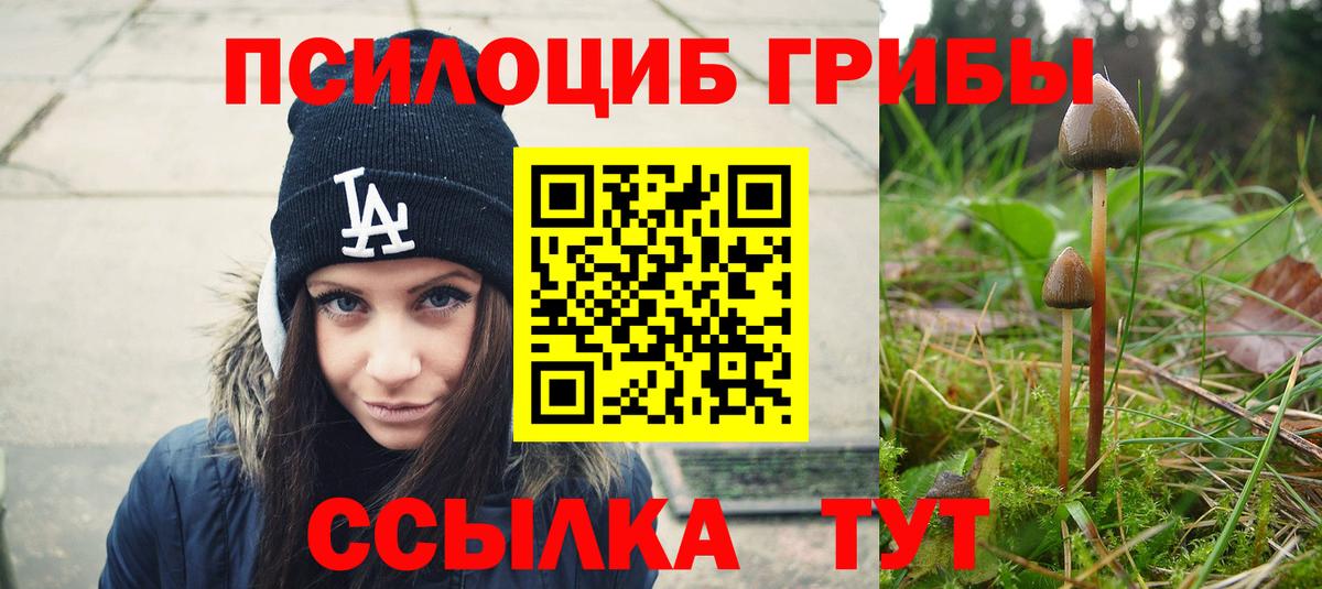 Псилоцибиновые грибы Cubensis  Вход с VPN  Славгород 